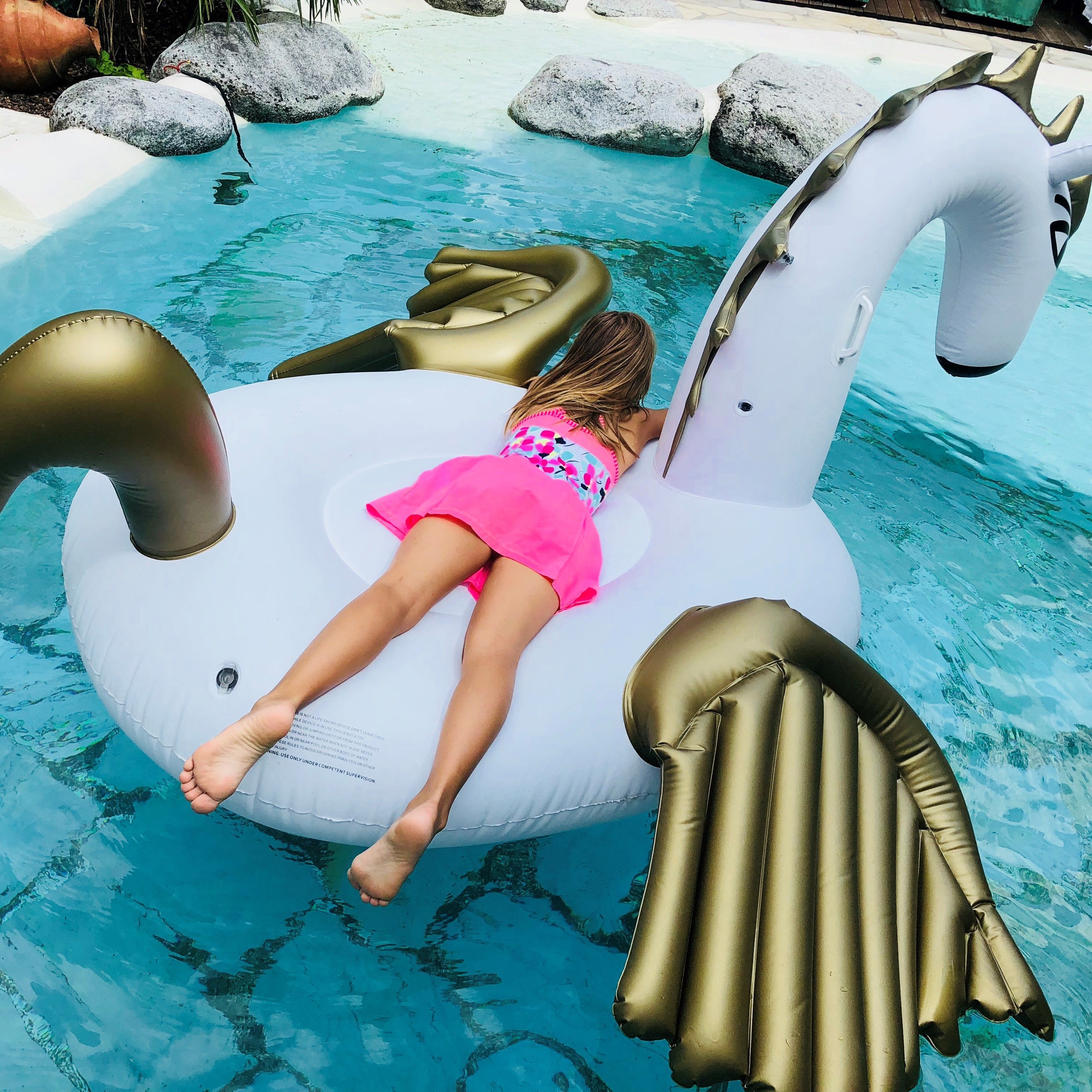 Pegasus pool hot sale float