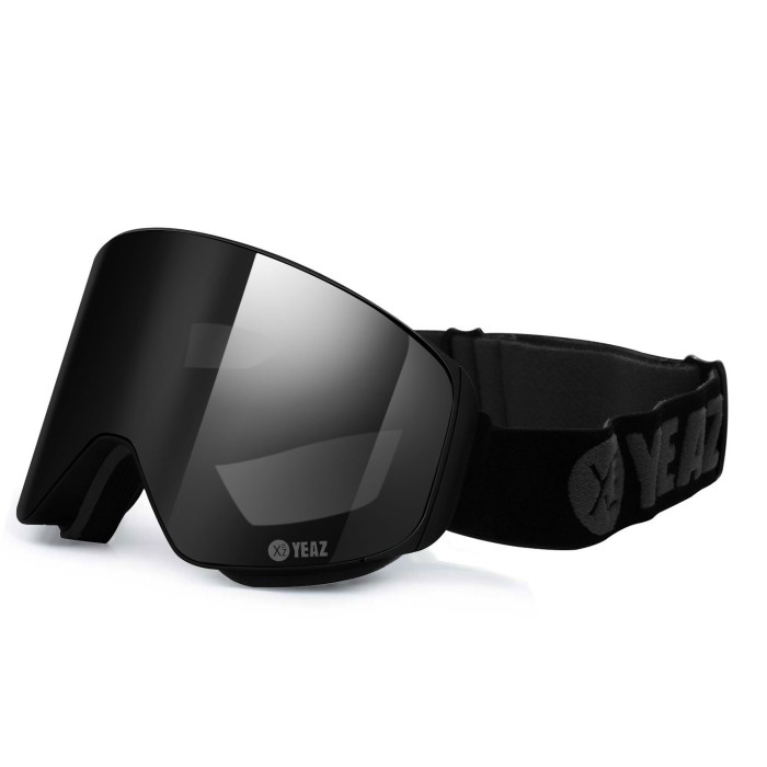 APEX Magnet-Ski-Snowboard-goggles black / grey Logo
